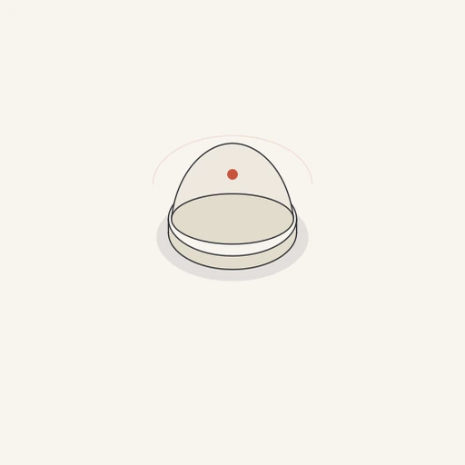 Home Assistant ikona